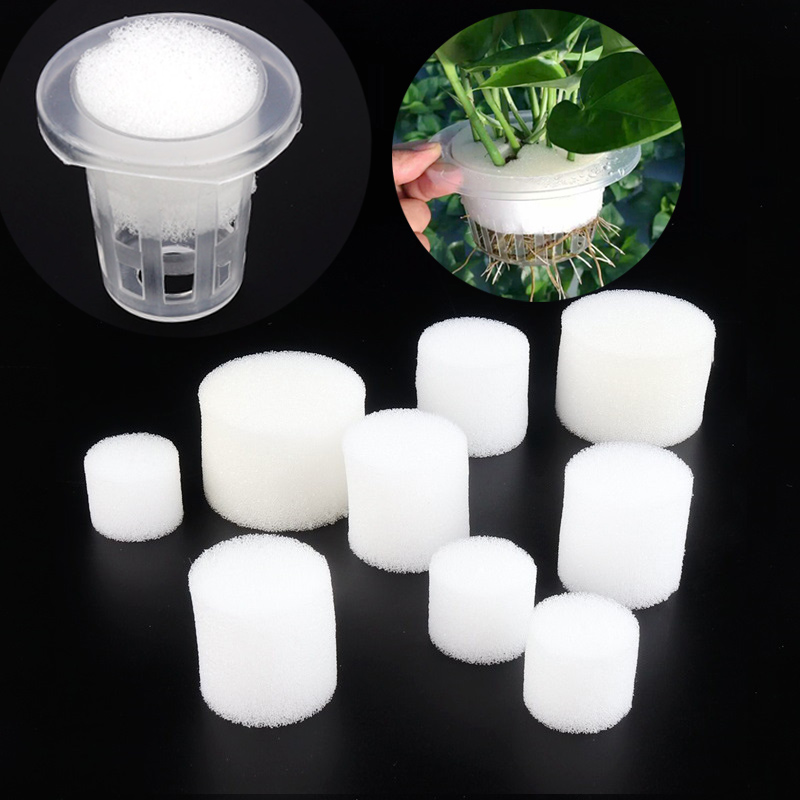 Net Pot 3 Inch - 50pcs White Mesh Cup Sponge Garden