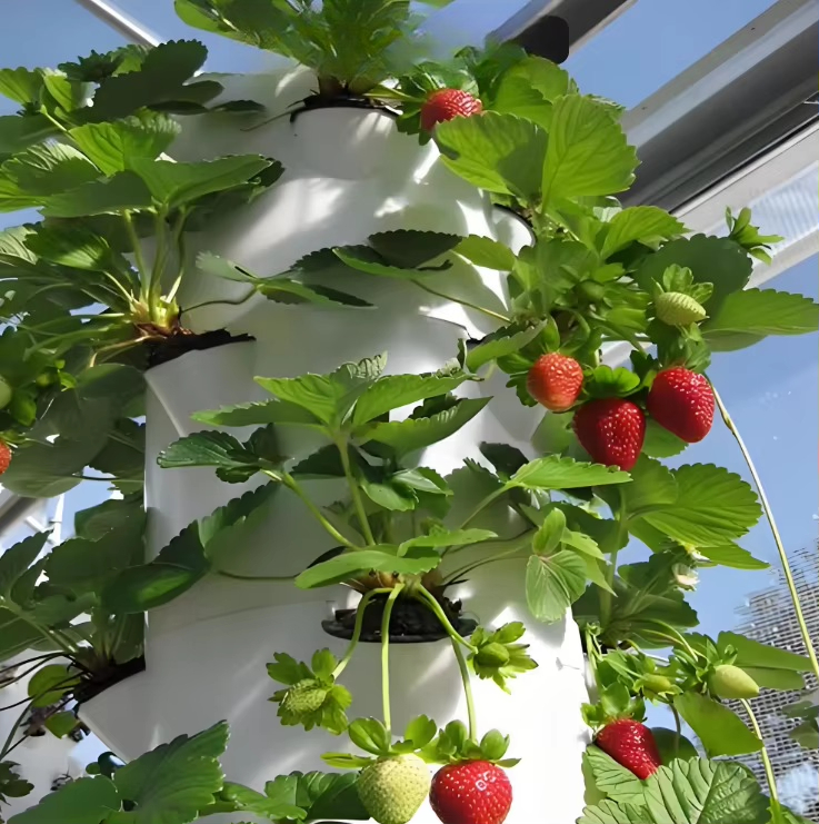 Modular hydroponic growth wall - Urban Farming Hydroponic System review and price