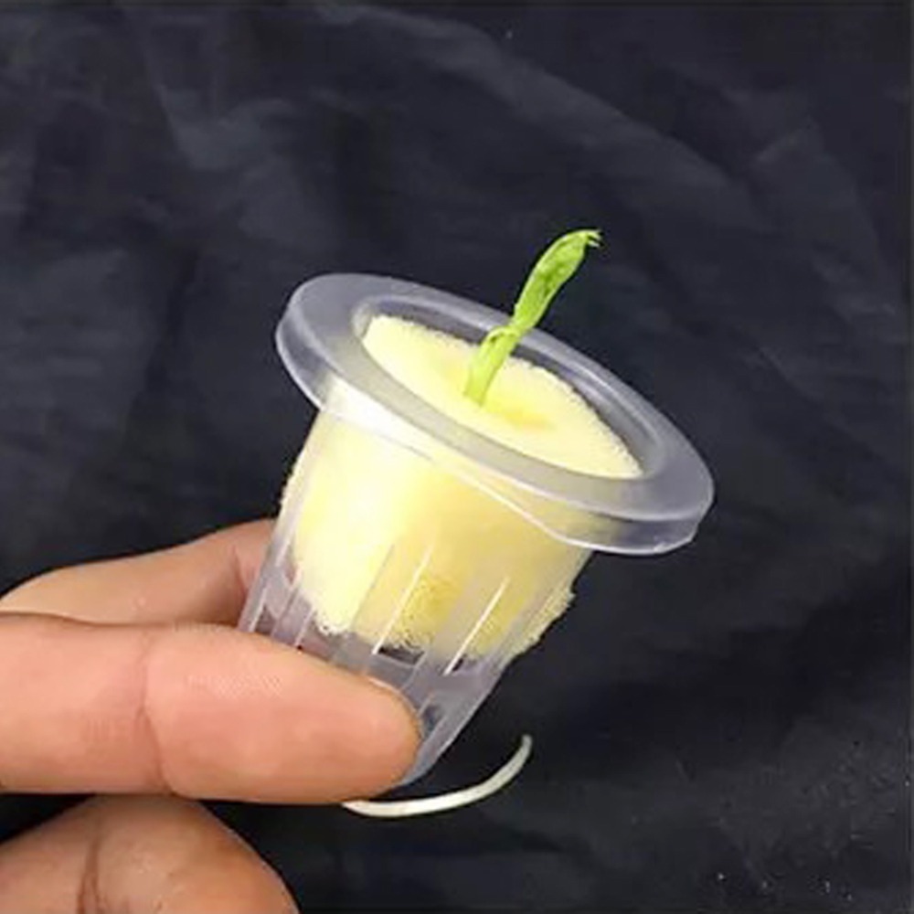 10Pcs Hydroponic Mesh Cups Gar - Net Pot 3 Inch review and price