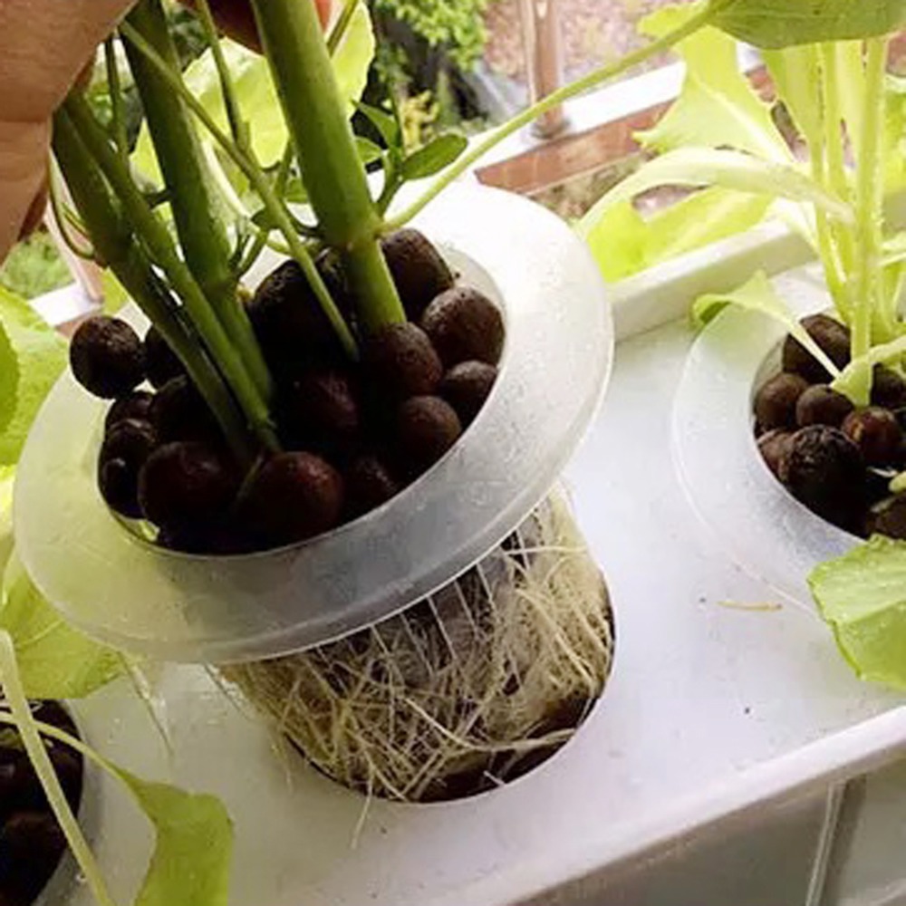 10Pcs Hydroponic Mesh Cups Gar - Net Pot 3 Inch review and price