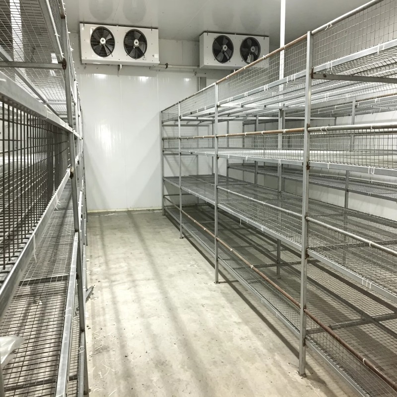 Hydroponic Container Farm with - Urban Farming Hydroponic System review and price