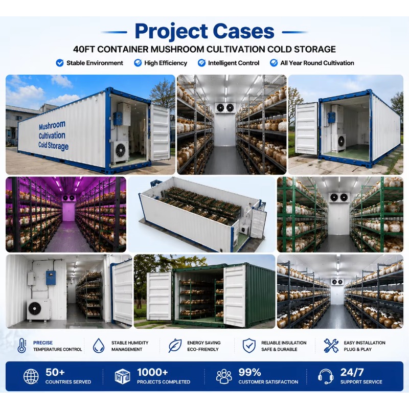 Hydroponic Container Farm with - Urban Farming Hydroponic System review and price