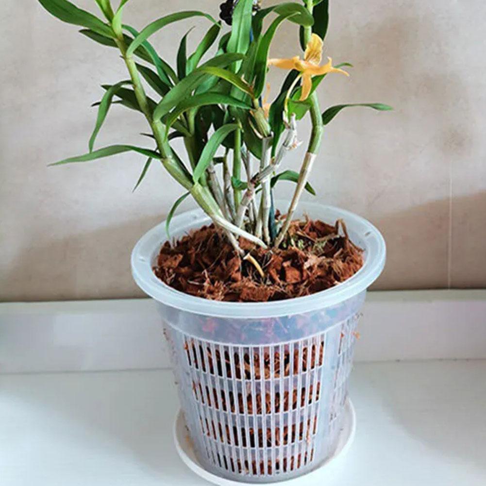 11/14/16/19cm Mesh Pot Root Co - Net Pot 3 Inch review and price
