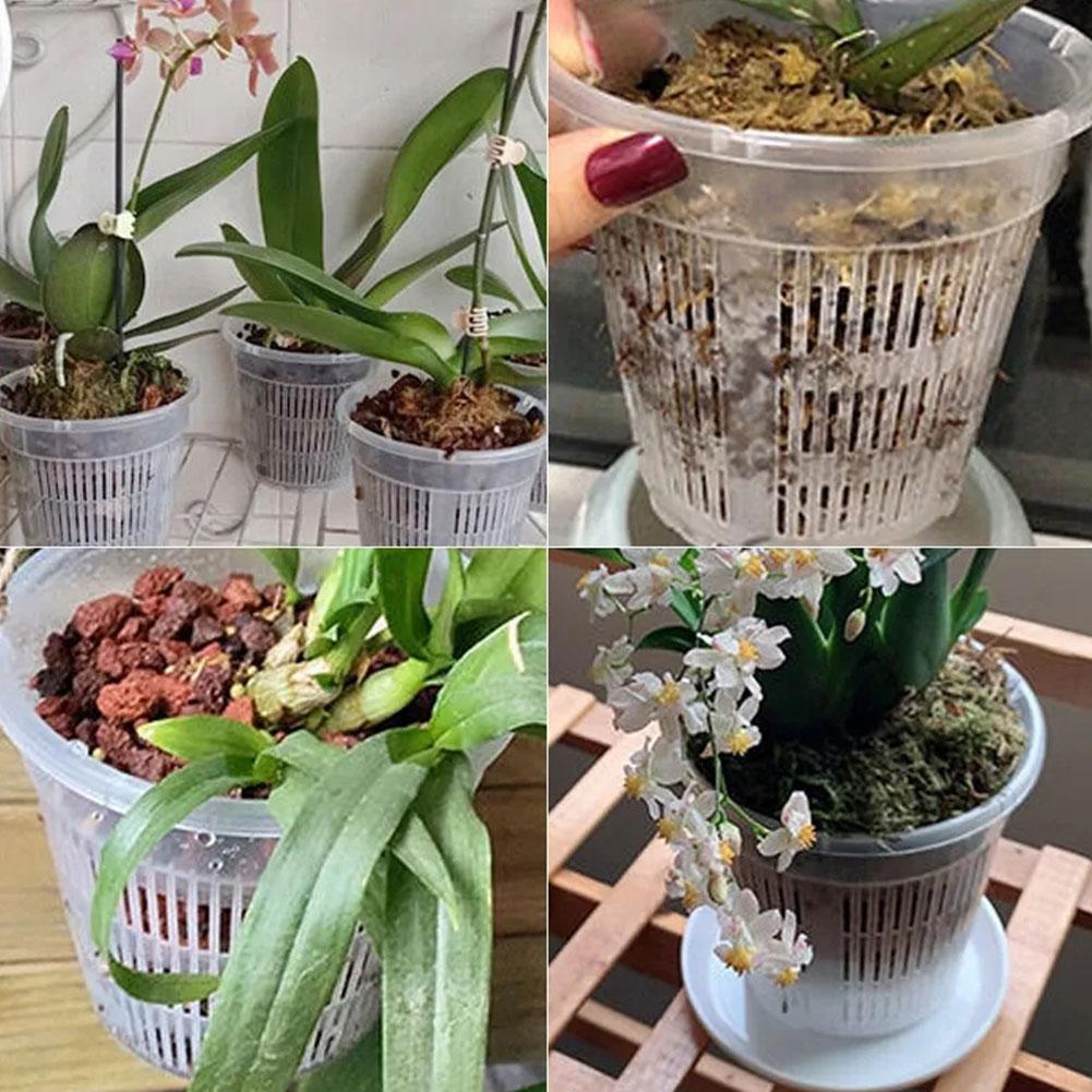 11/14/16/19cm Mesh Pot Root Co - Net Pot 3 Inch review and price