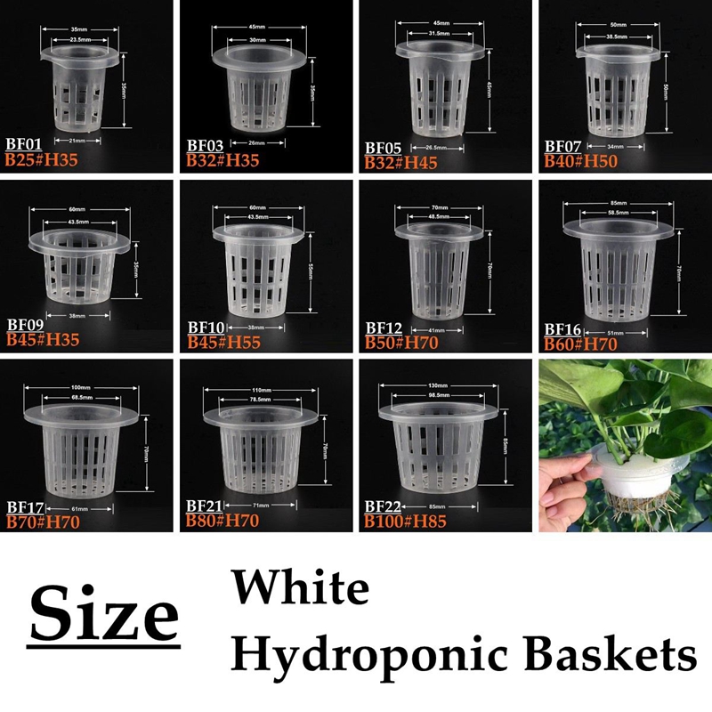10Pcs White Hydroponic Soilles - Net Pot 3 Inch review and price